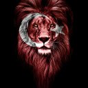 Mansur_Kilic adlı kullanıcı