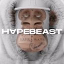 Kerem343 adlı kullanıcı